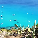 Baia Del Capo 3* Ricadi